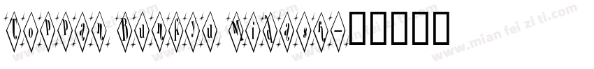 Toppan Bunkyu Midash字体转换